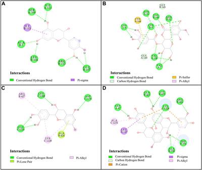 Potential antioxidative and anti-hyperuricemic components in Rodgersia podophylla A. Gray revealed by bio-affinity ultrafiltration with SOD and XOD